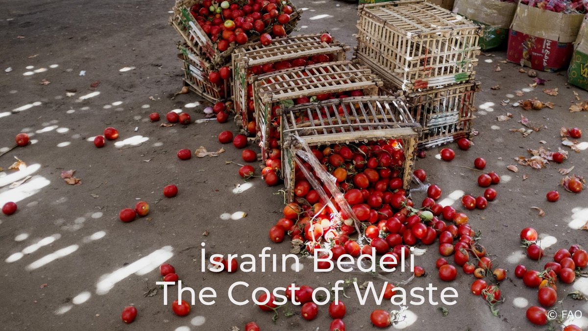 ASelisik's tweet photo. Kaybedilen veya israf edilen gıda, her yıl 1,26 milyar insanı doyurabilecek miktardadır.
Food that is lost or wasted could feed 1.26 billion people annually.
#WorldFoodDay #FoodWaste #FoodLoss #Gıdaİsrafı https://t.co/TLuS638cz1