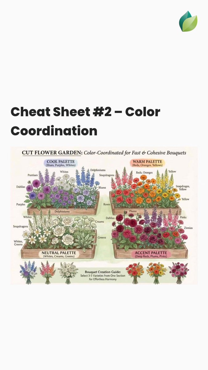easygrowapp's tweet photo. Cut flower color coordination cheat sheet! 🌸 Cool, warm, neutral &amp; accent palettes.
Download Easy Grow app now!
#CutFlowers #GardenTips #EasyGrowApp https://t.co/34yO66ex5m