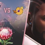 Photo by Competitive Overwatch ZA (@ZAOverwatch)