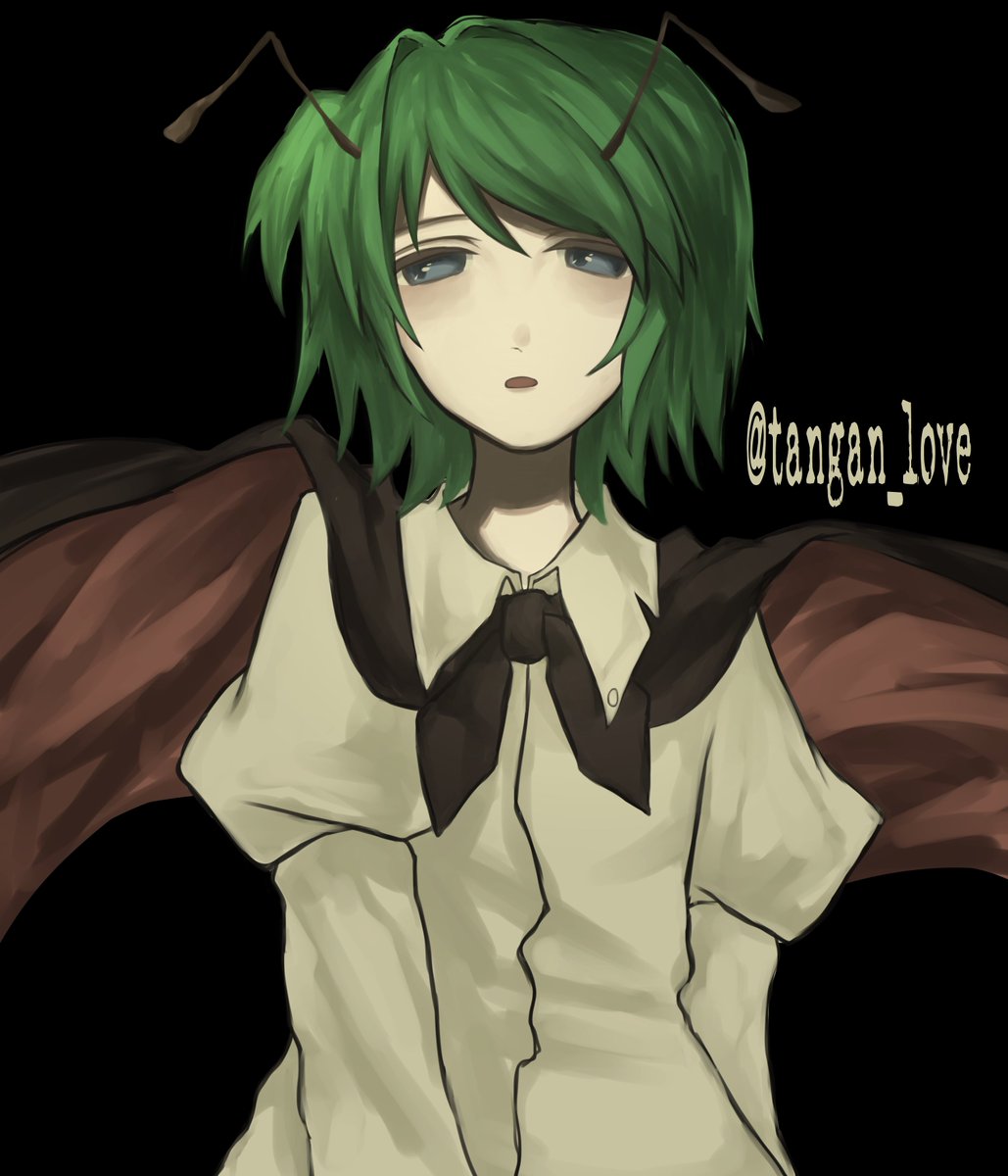 tangan_love's tweet photo. #リグル・ナイトバグ #東方Project https://t.co/hinv5OpMg7