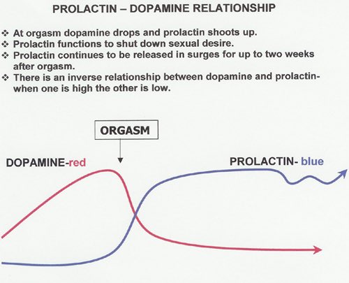 cvcwellness's tweet photo. It's estimated that one ejaculation depletes around:

• 5 mg of Zinc (that's nearly 50% of your daily needs)

• A substantial amount of magnesium, selenium, and B12

Over time, frequent ejaculation without proper nutrition can lead to deficiencies and shit energy, mood AND fertility.

This is why semen retention (release no more than once a week is a solid rule of thumb), paired with high-mineral raw nutrition, is powerful for rebuilding masculine energy.