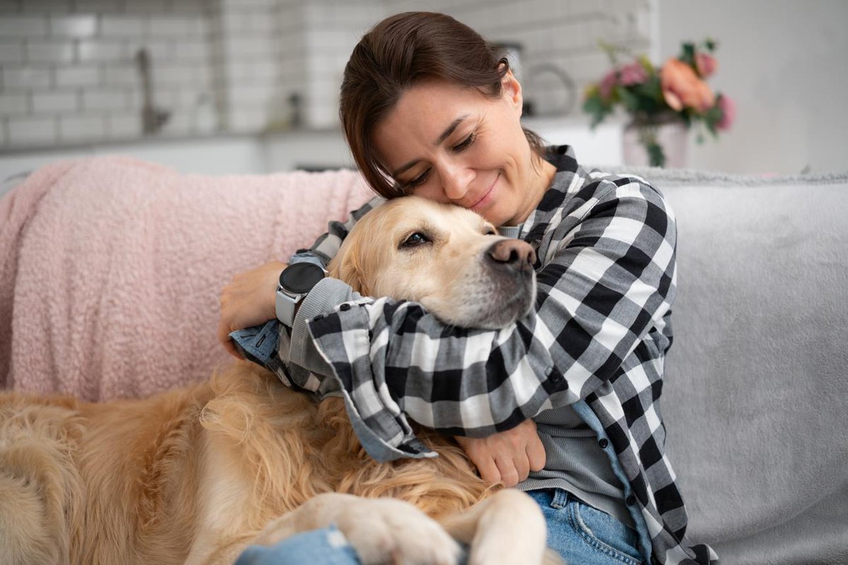 DianeLegacy1's tweet photo. They start as pets.
Somehow, they become family. ❤️
They don't care about your job, your bank account, or how your day went.

They just want to know that you're home.

#DogLovers #DogsAreFamily #PetLove #DogsOfX https://t.co/Dhl92WObR7