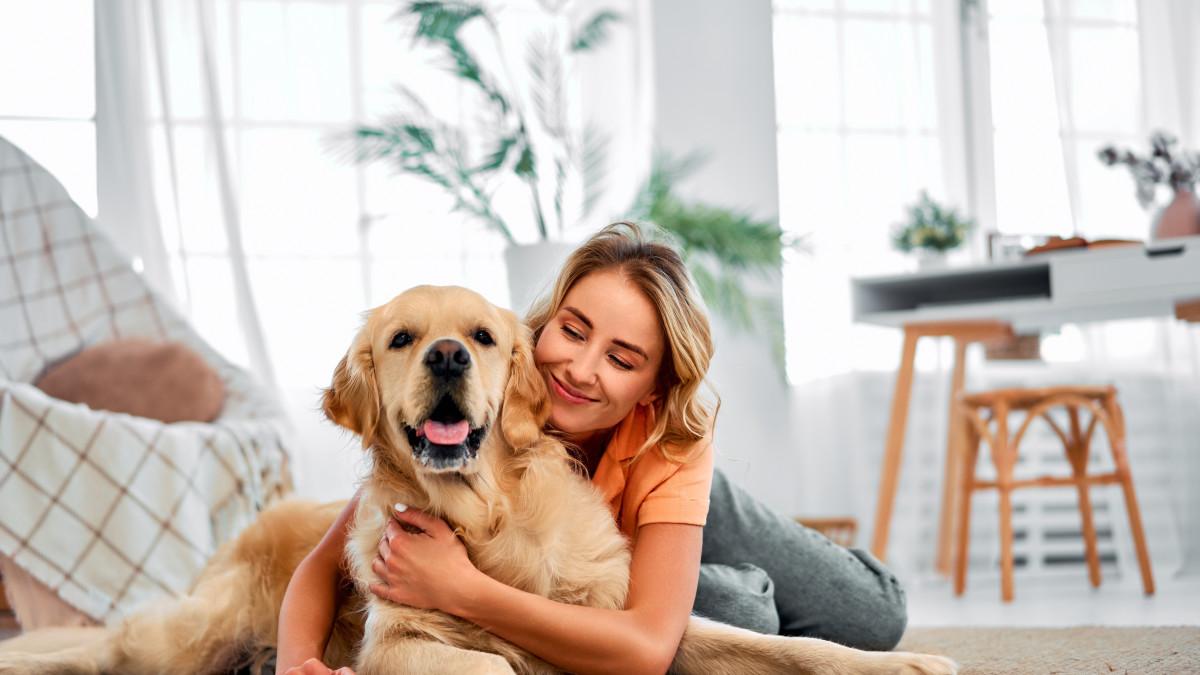 DianeLegacy1's tweet photo. They start as pets.
Somehow, they become family. ❤️
They don't care about your job, your bank account, or how your day went.

They just want to know that you're home.

#DogLovers #DogsAreFamily #PetLove #DogsOfX https://t.co/Dhl92WObR7