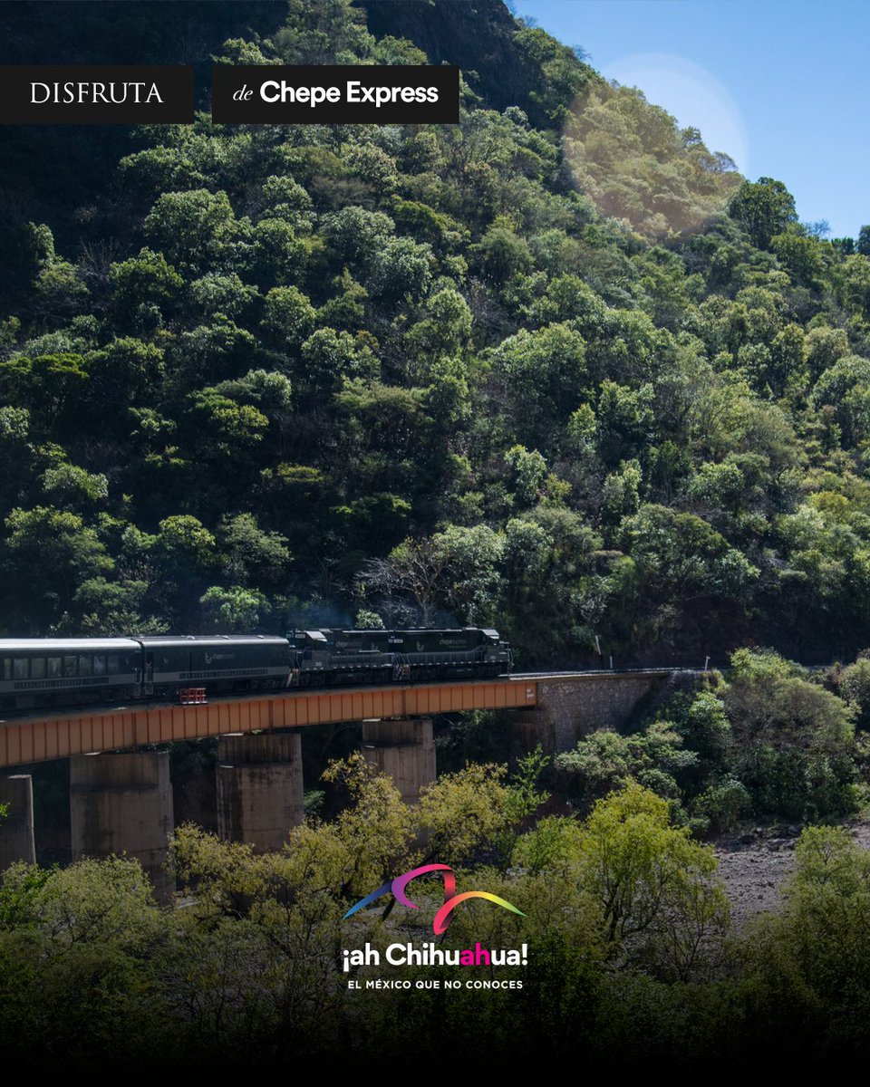 ahChihuahua's tweet photo. ¡Una travesía inolvidable sobre rieles al corazón de la Sierra Tarahumara! 🚂🌾 Desconéctate en el Chepe Express entre túneles, puentes y barrancas en este inicio de otoño. Elige tu vagón y recorre el Pueblo Mágico de Creel. 🏔️✨
#AhChihuahua #ChepeExpress https://t.co/V9dxQhFOLS