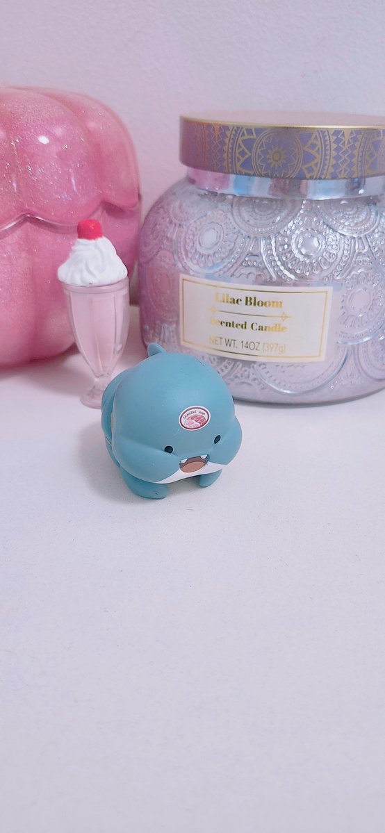 Miichel701's tweet photo. #fatshark #shark #sharks #sashimi #sashimishark #figure #figures #toycollector #collectibles #kawaii #figurecollector #vinyl #blindbox #blindbag #blindfigure #susprisefigures #pvc #collection #collector #collectibles #toy #toys #kidcore #kidwave #blindboxfigure #blindboxfigures https://t.co/QxiFelrhUI
