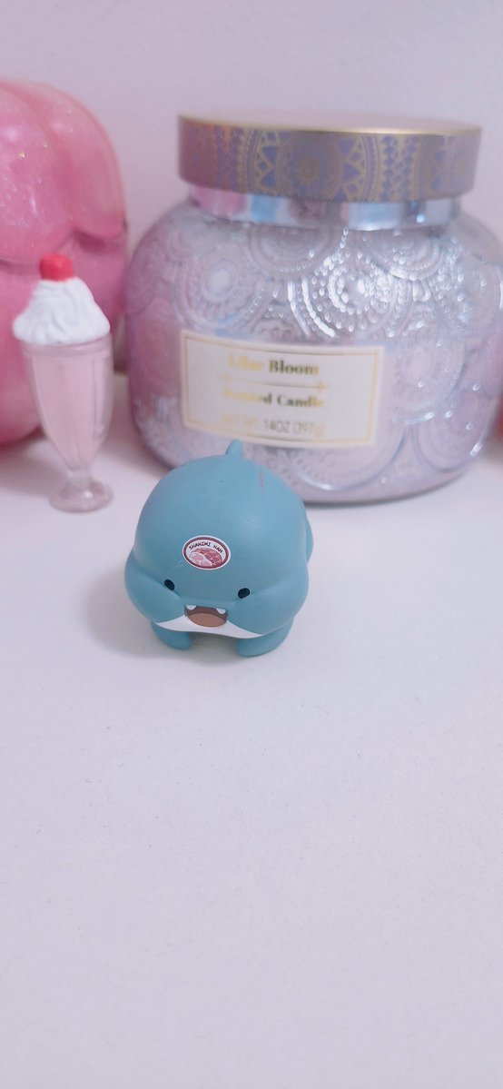 Miichel701's tweet photo. #fatshark #shark #sharks #sashimi #sashimishark #figure #figures #toycollector #collectibles #kawaii #figurecollector #vinyl #blindbox #blindbag #blindfigure #susprisefigures #pvc #collection #collector #collectibles #toy #toys #kidcore #kidwave #blindboxfigure #blindboxfigures https://t.co/QxiFelrhUI