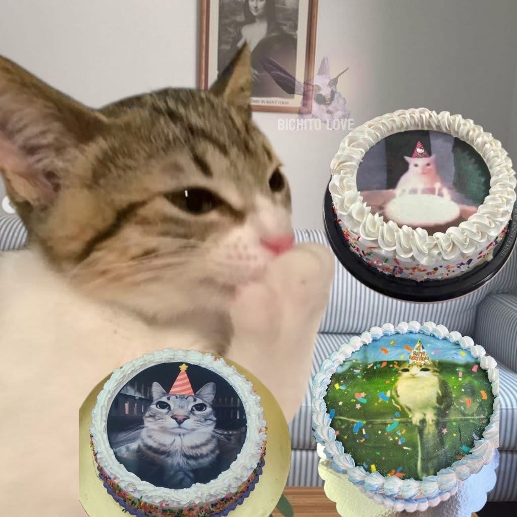 Guarromantico_'s tweet photo. Cuando ya se acerca mi cumple y no sé que diseño de pastel escoger: https://t.co/kAITccPqQQ
