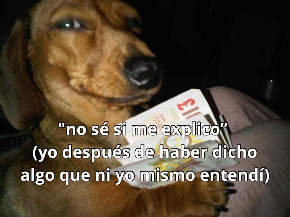conoloracigarro's tweet photo. https://t.co/joZ2u5JFWk