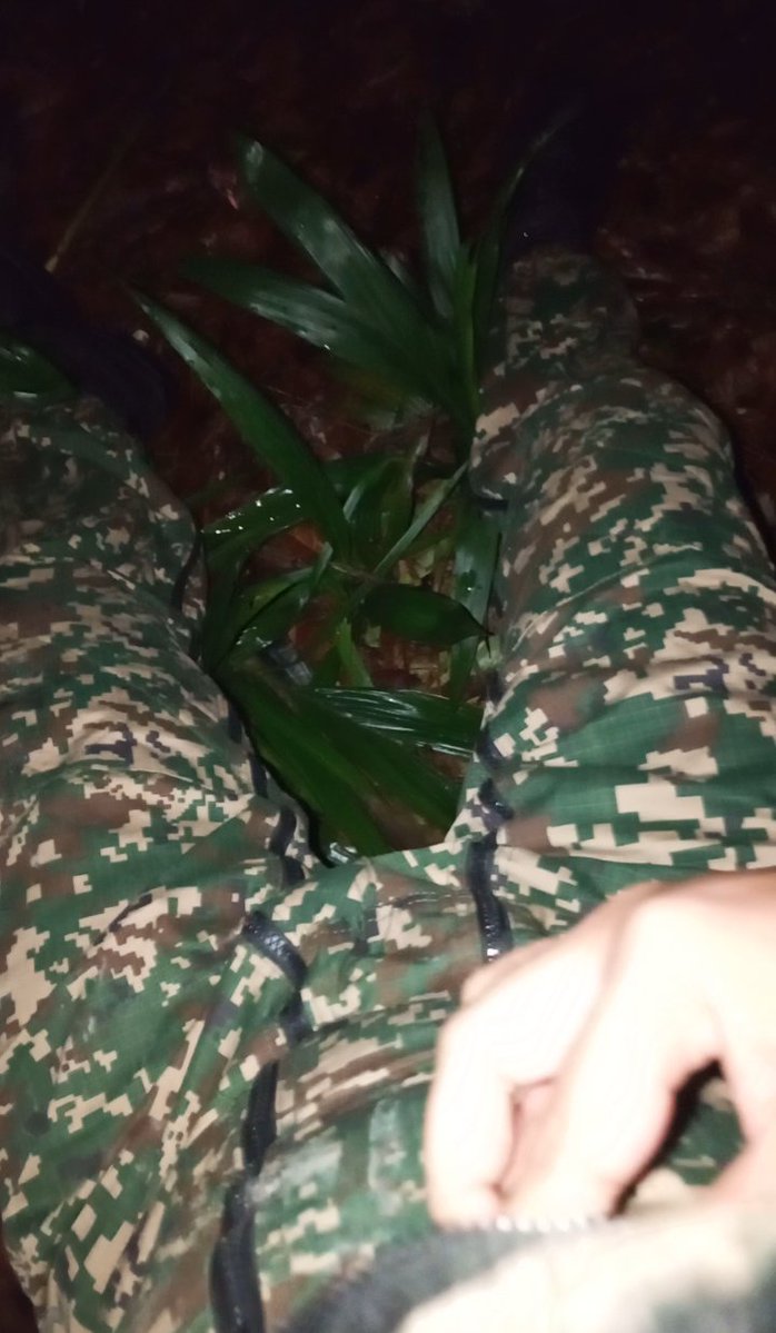 TE1363590's tweet photo. Outdoor lancap. vdeo ada kt chanel tele. thanks abam askar jb bg pnjam coverall🥶🥶pm for detaill.. https://t.co/i4yJcVZvSO