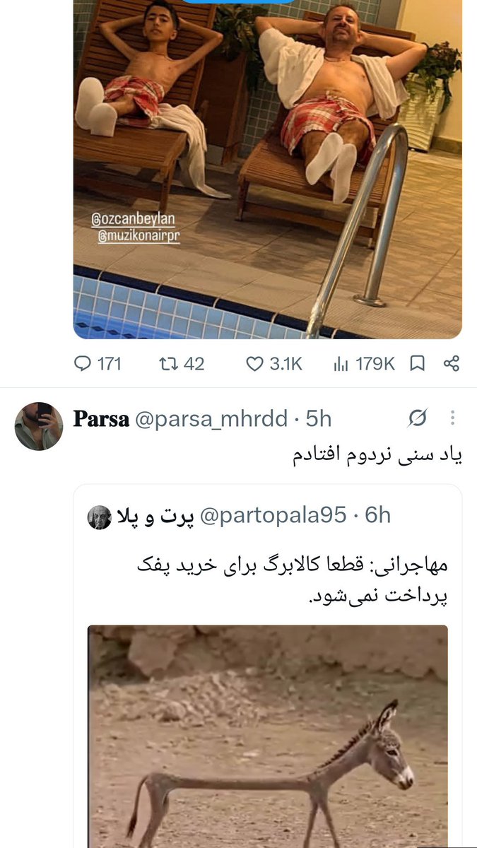 Shab_row's tweet photo. @the_realuday مطمئنم این ۳تا، توالی ژنتیکی مشابه دارن ولی نمی‌تونم اثبات کنم. https://t.co/qQ9NvSSXhW