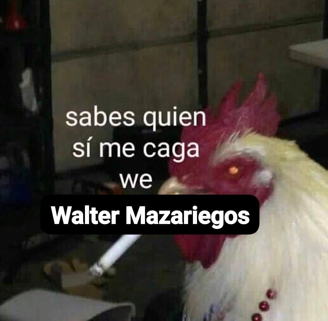 _rojilla's tweet photo. ahora resulta que la USAC va a proceder legalmente contra el MP🤡🤡 https://t.co/ktslAX5URf