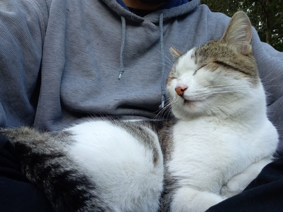blackxcat215's tweet photo. https://t.co/ZxnIyLbTkL
