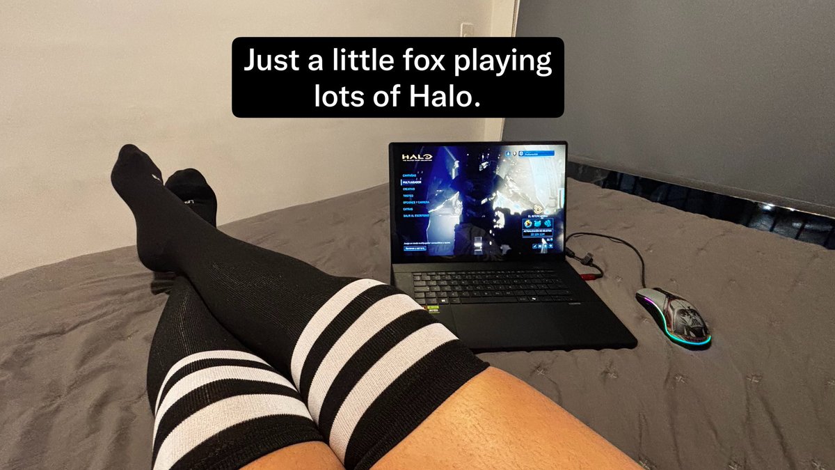 knox_fox13's tweet photo. Halo nights
#femboy https://t.co/bf2NwlNO3l