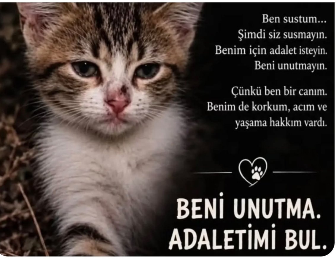 Ayn344's tweet photo. MİNİĞİ UNUTMA https://t.co/4MIRAzOPnF