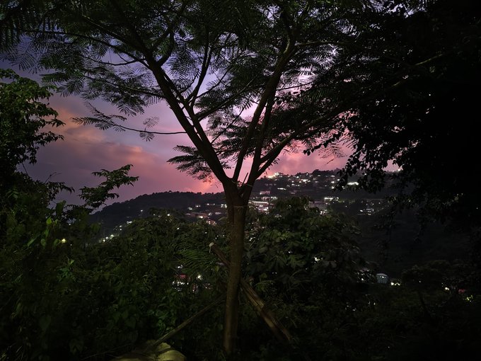 A view through silhouetted tree branches reveals a hillside city with twinkling lights under a purple and pink twilight sky.