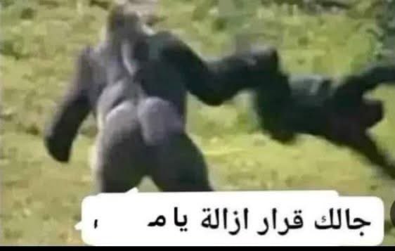 shehab2452004's tweet photo. كريستيانو يغادر معسكر البرتغال https://t.co/DqQCFtB4i7