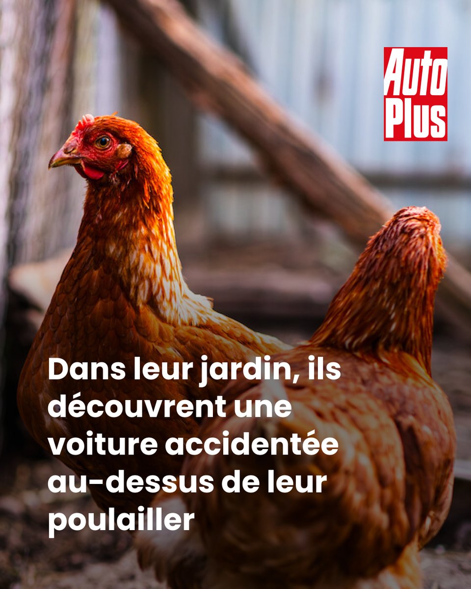 AutoPlusMag tweet picture