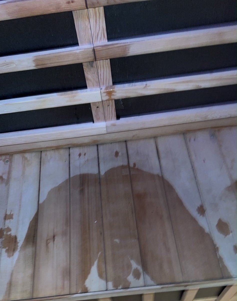 AlphaGodCallum's tweet photo. Sweaty sauna session 

I know you wish this was your face https://t.co/oT3I64HsAx