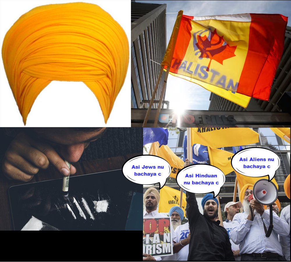 woke_janta's tweet photo. Khalistani Starter Pack 🇨🇦 https://t.co/3xwNqkDrMj