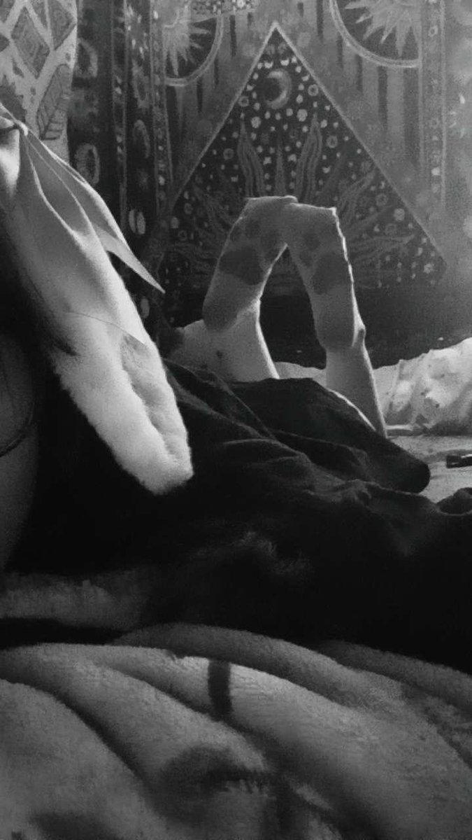 Ari4gzr's tweet photo. Mmmm I wish someone bought me something from my throne 🫪🫪😽
I’d just love it if someone got me a gift or lunch for me 💕💕#goonette #nsfw #goons #moots #nsfwtwt https://t.co/wWT9VtlU8c