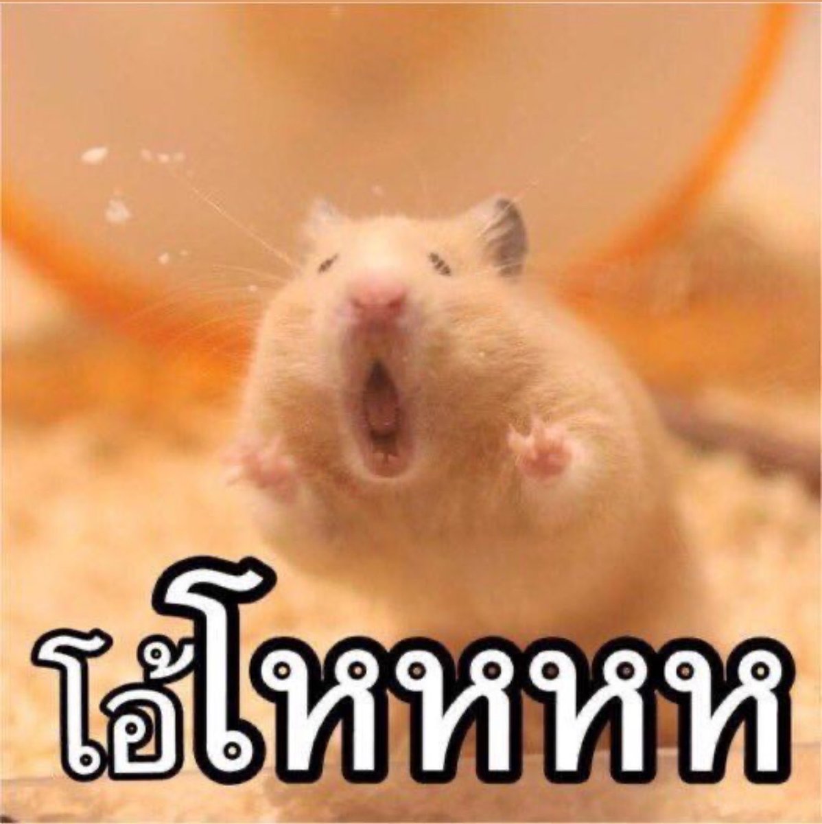 TleFirstoneTH's tweet photo. ป้าฝนซิ่งมากอีก 2 โพสต์กำลังจะทะลุเป้าาา ( ค่อย ๆ คอมเมนต์นะแม่ อย่ารัวเด็ดขาดดดดดดด กรี๊ดดด เก่งมากกกกก

TLE FIRSTONE AT MFW 2027 
#MOSCHINOSS27xTLEFIRSTONE  
#TLE_mtm #Firstone #TleFirstone https://t.co/ZSeLVihkTn