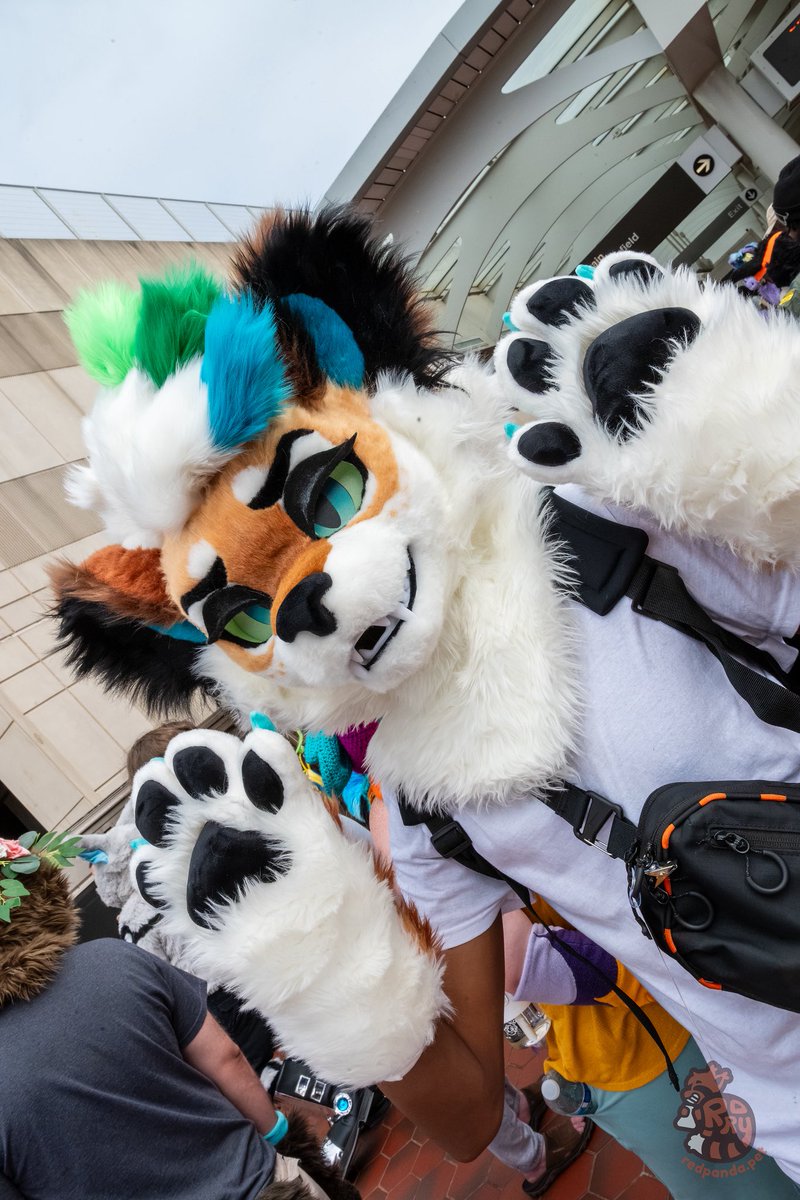 LewdSoba's tweet photo. THE SOBA IS REEEAAAAL!!!!

Fursuit partial by the great @Peanutrich2023 :> https://t.co/Y6JzUvvkaw