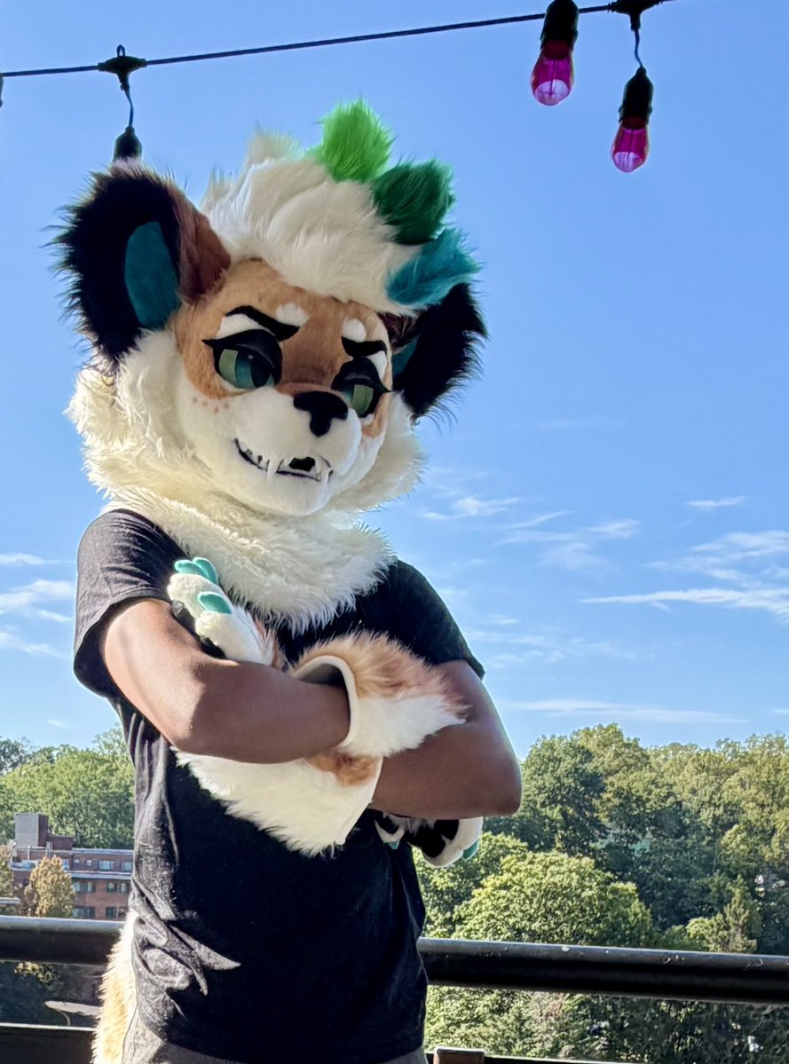 LewdSoba's tweet photo. THE SOBA IS REEEAAAAL!!!!

Fursuit partial by the great @Peanutrich2023 :> https://t.co/Y6JzUvvkaw