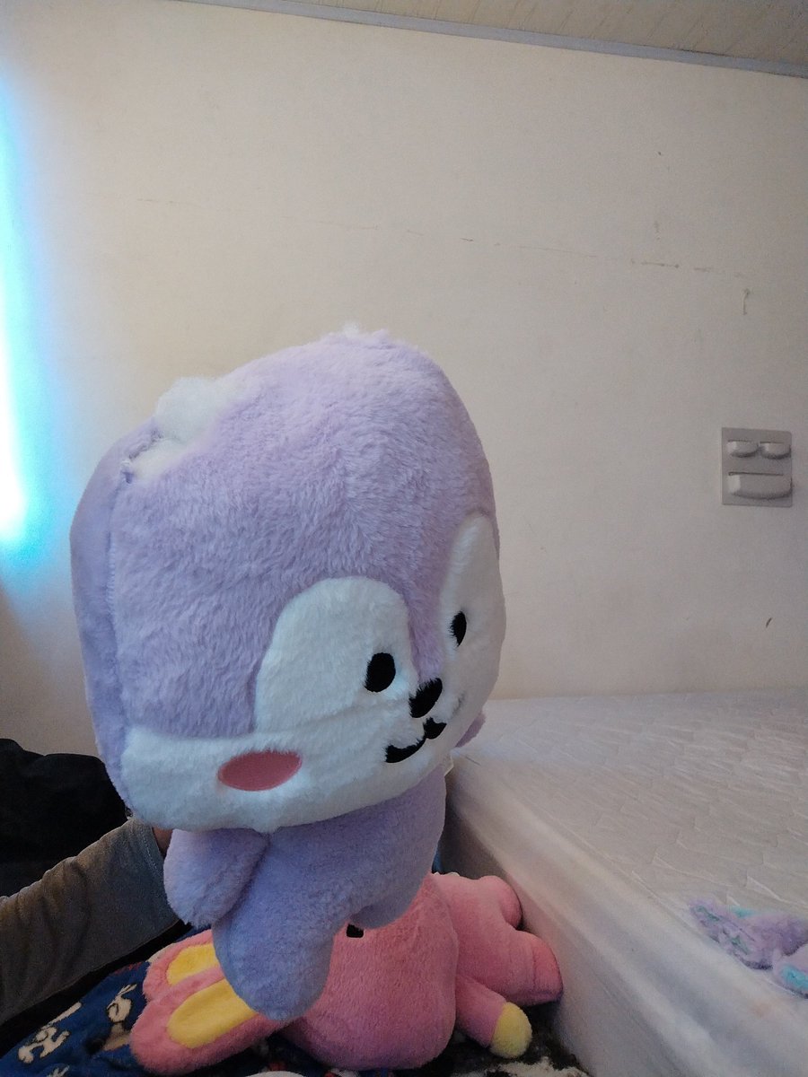 arirans's tweet photo. Hablé con mang antes de esto y le prometí devolver sus orejas y su pañuelo después que termine el concierto de los chicos https://t.co/ShTT3Pc5A9