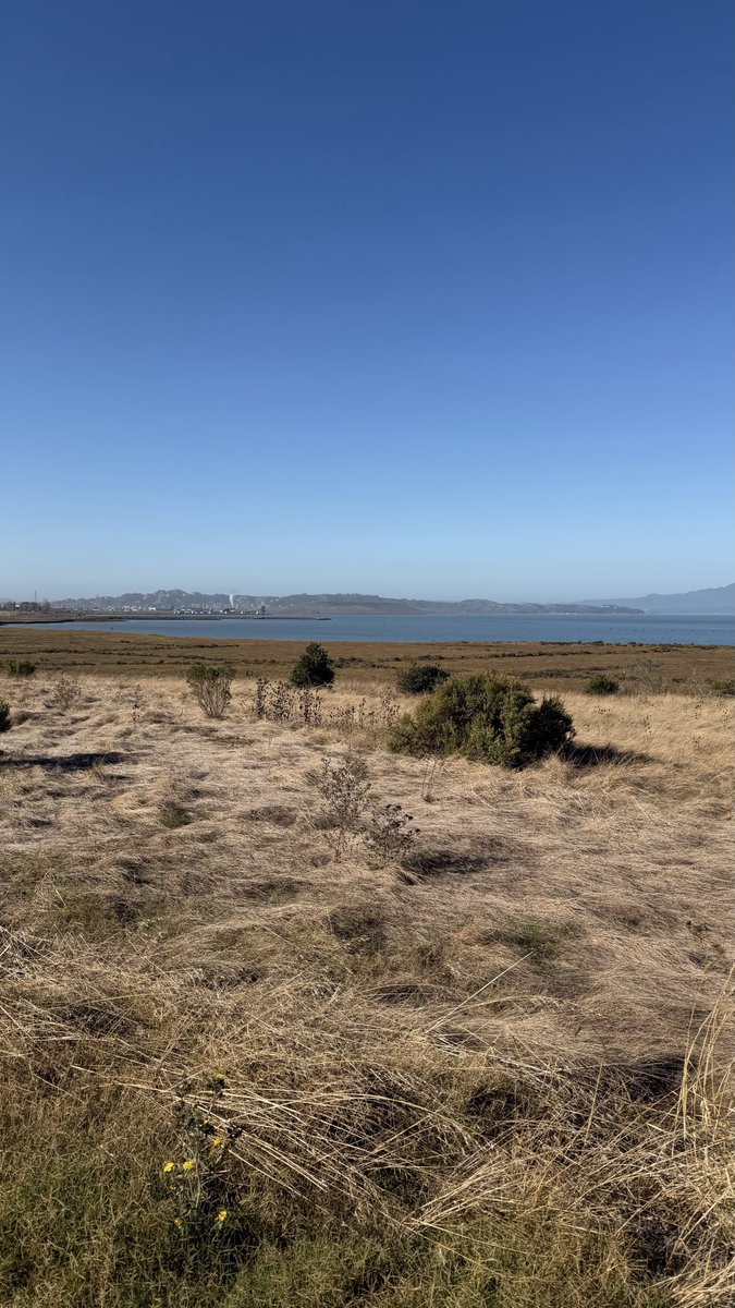 paigeleehale's tweet photo. Got yesterday’s walk + down 20mins. #nobody #dotsonmarsh #blackfarmland https://t.co/Liy3PuWZ1x