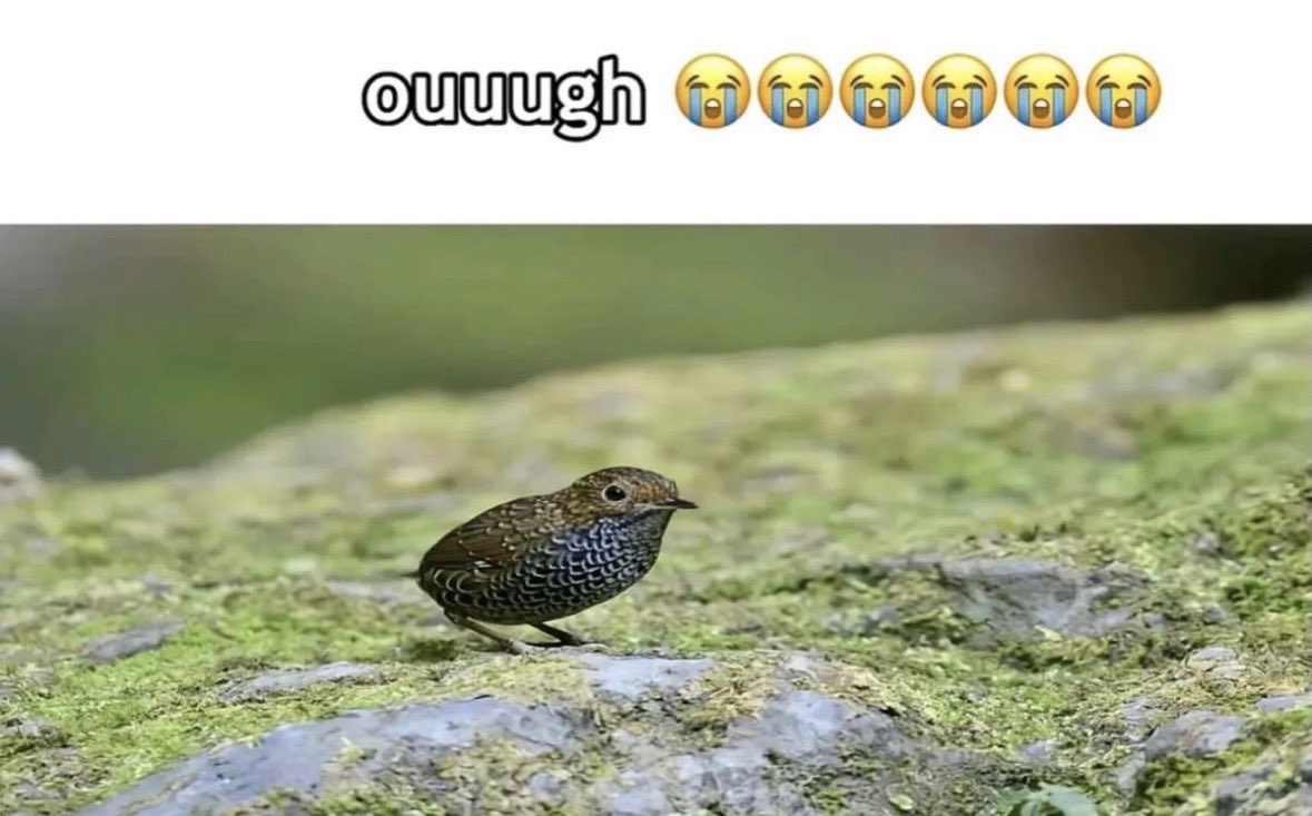 PokeMarr's tweet photo. I know that when my colleagues have “OOO” as their status it means they are out of office. But that doesn’t stop me from reading it as: https://t.co/ftN410P50y