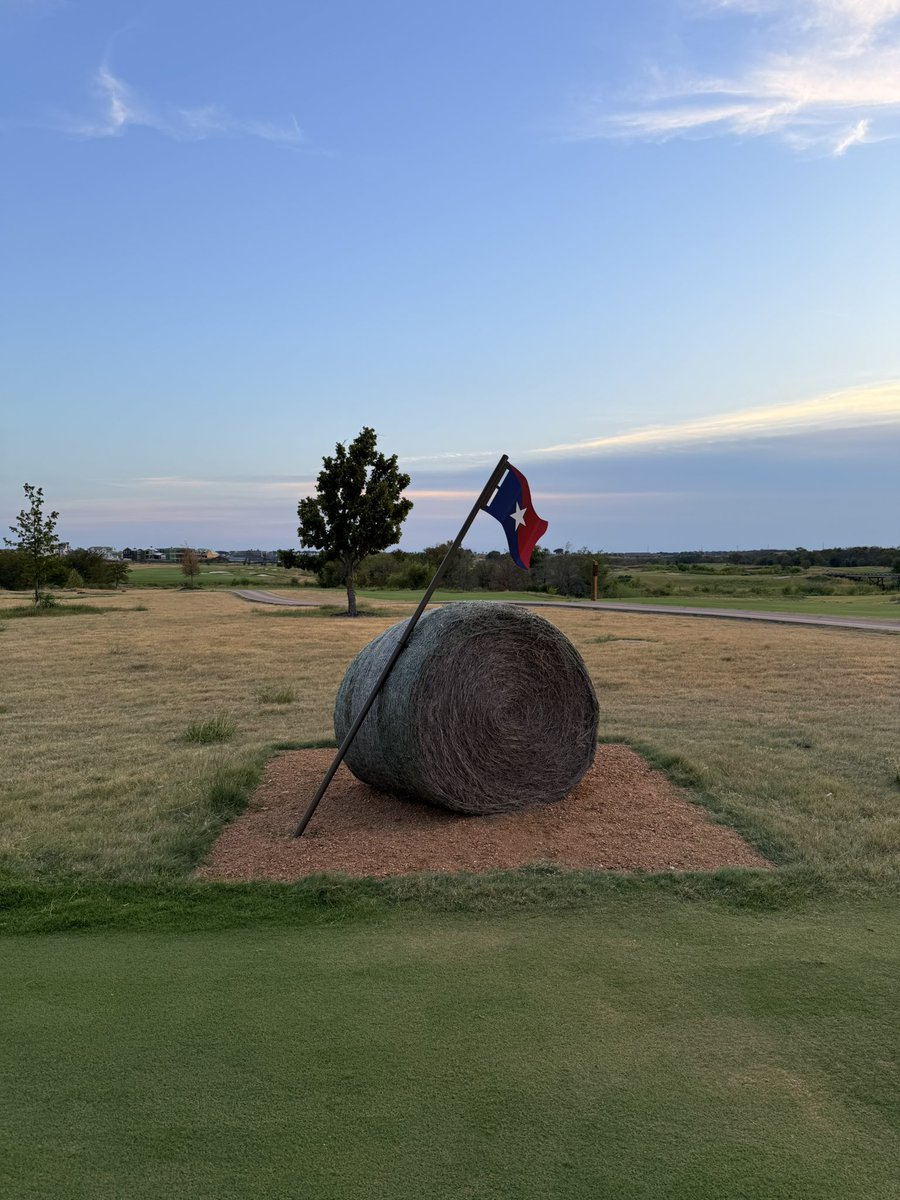 WoodTeeWilly's tweet photo. Fields Ranch East - Will punch you in the teeth https://t.co/E0FdWHlIkT
