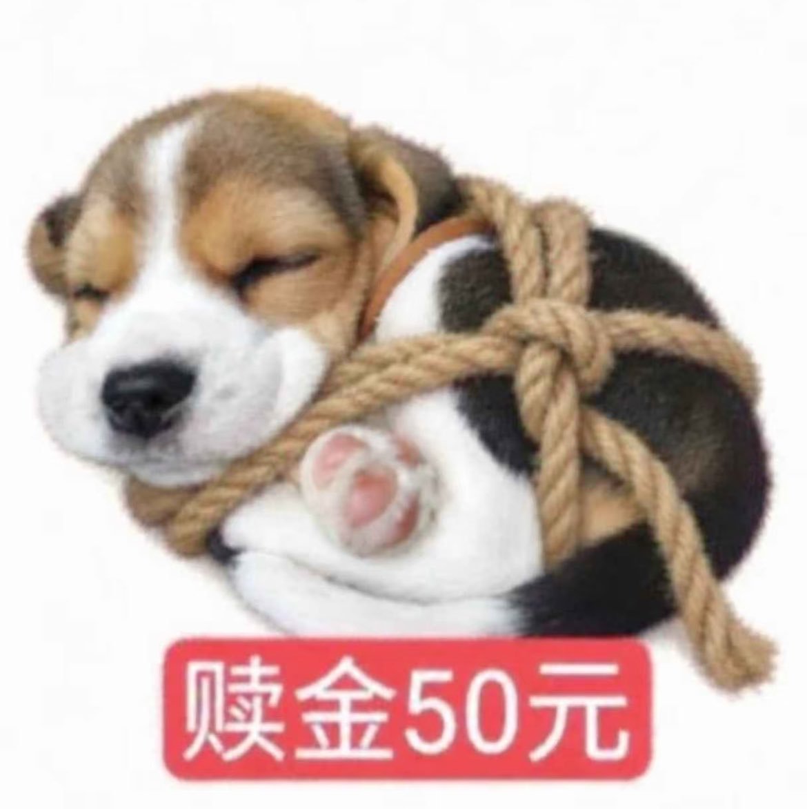 bingxianlemon's tweet photo. https://t.co/h39q0n1NbP