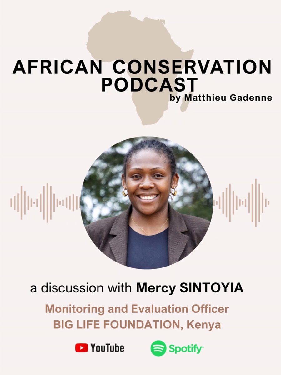 biglifeafrica's tweet photo. What does it take for people and lions to coexist?

Big Life’s Mercy Sintoyia joins the African Conservation Podcast to discuss our Predator Compensation Fund and why protecting local livelihoods is essential to protecting wildlife. 
https://t.co/d1EGWM4nuJ https://t.co/Ke8MyzAD3o