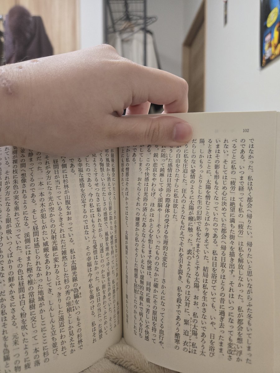 amatou479's tweet photo. 🪰 https://t.co/EVIsz1Sx0j