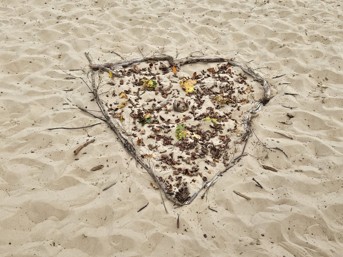 AnitaPeeters's tweet photo. Wat een #fantastische dag met de #soulsisters van onze #sanghat de #jaartraining 'lichter leven' 8 #vrouwen helaas mistte er 1 maar in gedachten en in ons ♡ was ze erbij! 8 verschillende #vrouwen 1 #doel 1 #team #licht #liefde #kracht samen #supersterk hoe #bijzonder 🙏🍀💛 https://t.co/xzTd5Hmba0