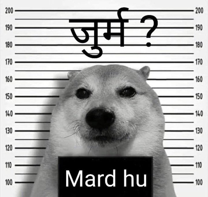itsallllies's tweet photo. Kya Mard hona itna bura h ?? 🙄

#DelhiCrime #Delhi https://t.co/X5fE42sq0o