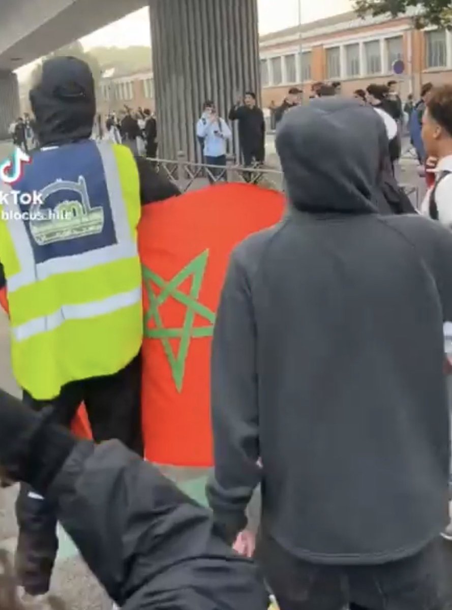 ZemmourEric's tweet photo. En une semaine, seulement, nous avons pu voir dans nos rues les deux France qui désormais se font face sur notre sol. 

La première, à l’occasion de la venue du pape, il y a quelques jours, a montré son visage le plus avenant : enthousiasme, ferveur, redécouverte pacifique de ses racines et de son identité. Cette France là est largement blanche, chrétienne, européenne, même si s’agrègent à elle, des minorités diverses, antillais, africains chrétiens, juifs, asiatiques, ou même venues de pays de culture musulmane comme des Kabyles ou des Iraniens.

L’autre France montre depuis quelques jours un tout autre visage à l’occasion des manifestations des lycéens, toujours revendicatif, voire vindicatif et souvent violent : une autre France largement africaine, arabe, musulmane, arborant des drapeaux algériens, marocains ou palestiniens, ou on trouve également une minorité de petits blancs qui a adopté, dans une assimilation à l’envers, le langage et les manières de la banlieue.

La France éternelle contre la nouvelle France : ce sera l’affrontement de la présidentielle de 2027. Je défendrai la première, Mélenchon la seconde. 
Les Français devront choisir.