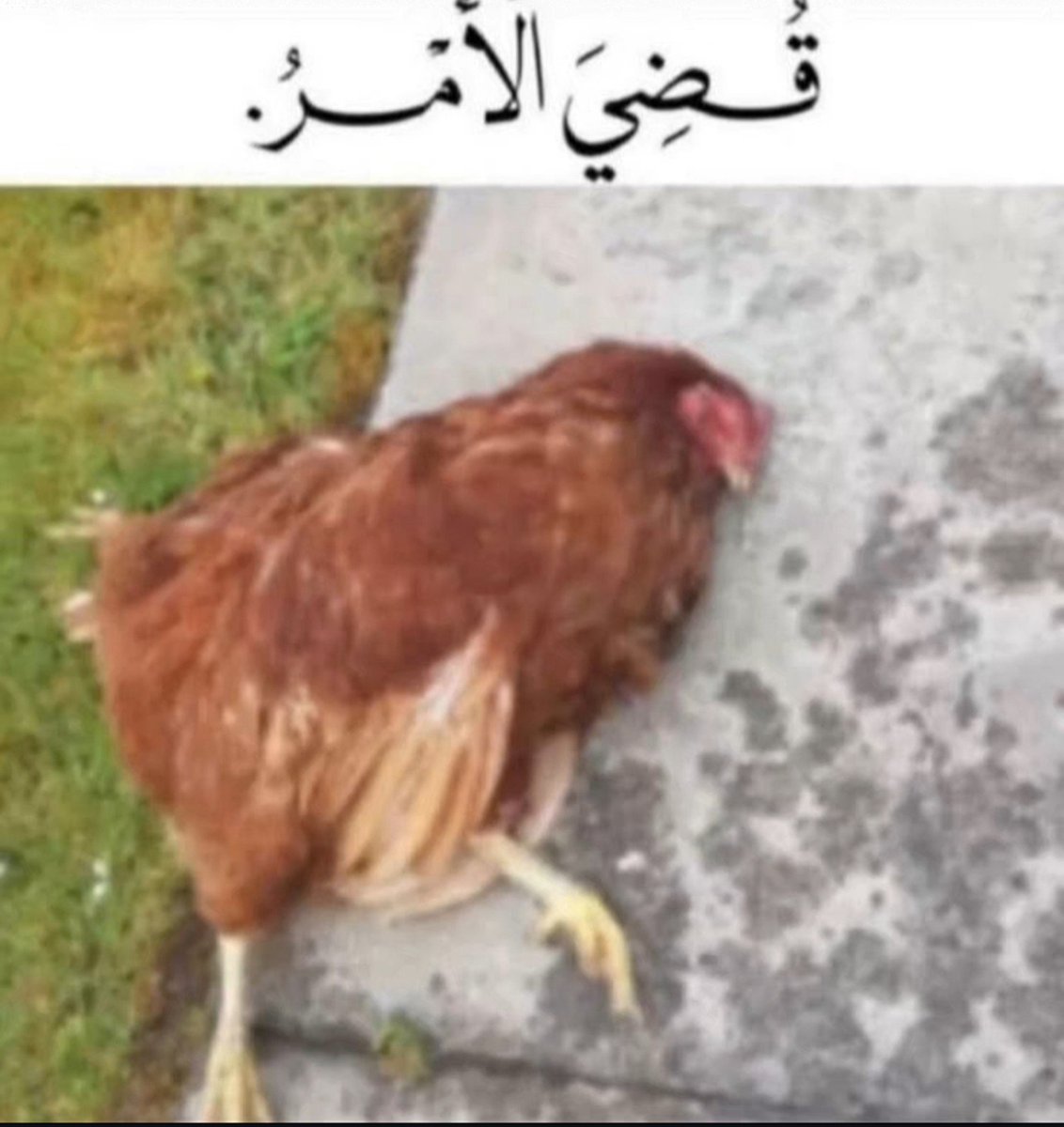 Lostpathyy's tweet photo. @Rare_R1 لاااااااااا💔💔💔💔 https://t.co/f4kNOVW41c