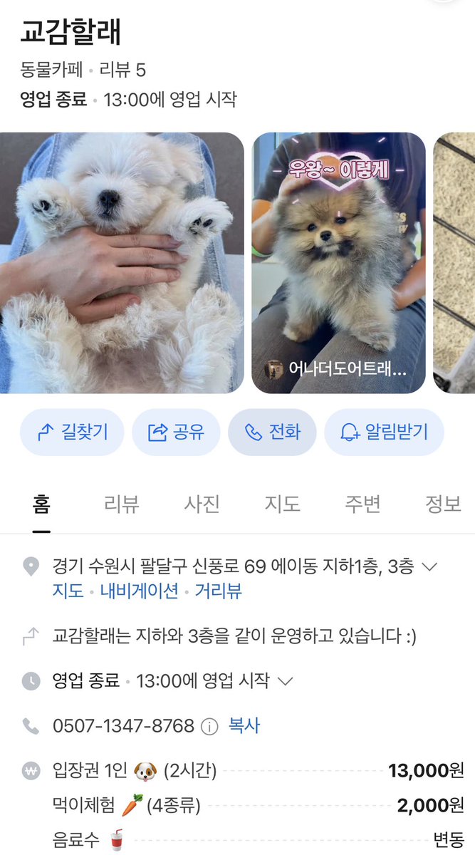 hmmmmmm1458's tweet photo. 알고리즘이 무서운게 갑자기 저번주에 새로 오픈한 동물카페를 보여줌 ㄷㄷ 근데 ㅈㅉ귀여워서 이건 알려야겠음

요즘 동물카페 많이 없는데 행궁동에 기니피그,앵무새,파충류,강아지들이랑 놀 수 있는 카페라서 데이트코스로 딱일듯 https://t.co/je7hGbYv2g
