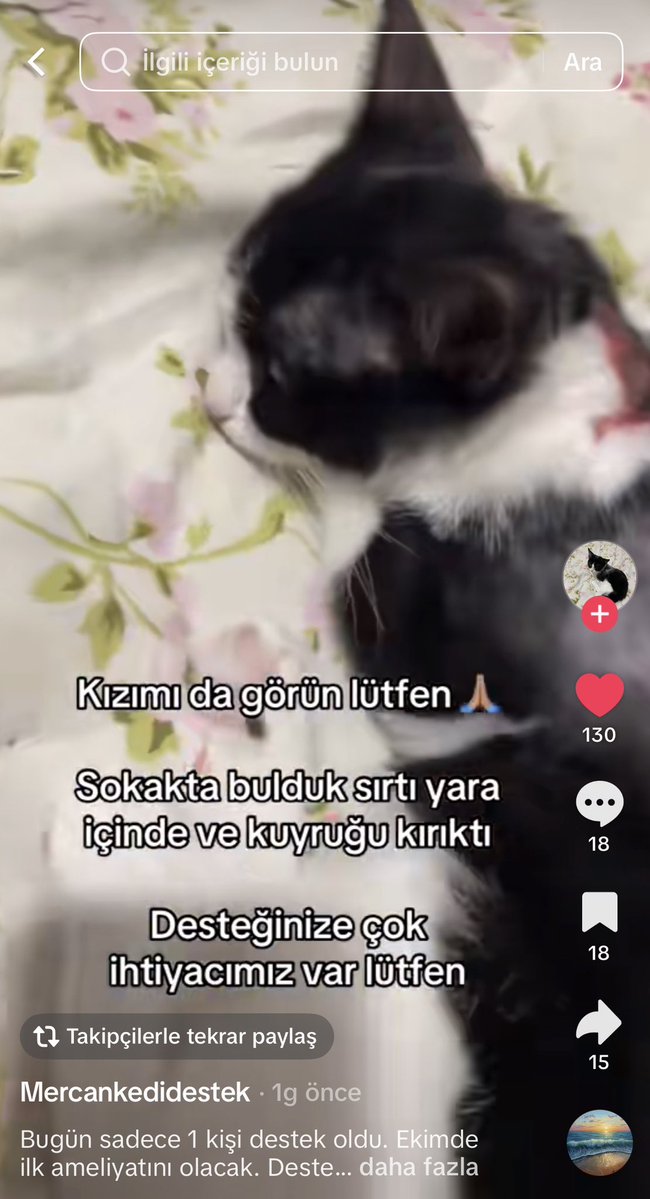 im_skylarr's tweet photo. lütfen destek olabilecek herkes destek olsun https://t.co/sWfXdev2zz