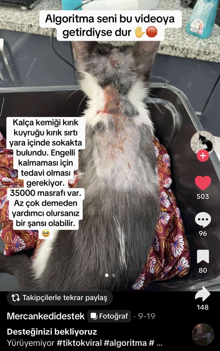 im_skylarr's tweet photo. lütfen destek olabilecek herkes destek olsun https://t.co/sWfXdev2zz