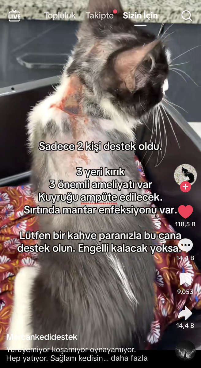 im_skylarr's tweet photo. lütfen destek olabilecek herkes destek olsun https://t.co/sWfXdev2zz