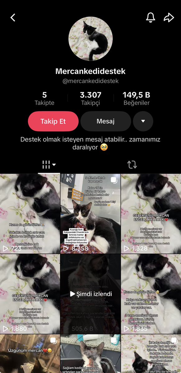 im_skylarr's tweet photo. lütfen destek olabilecek herkes destek olsun https://t.co/sWfXdev2zz
