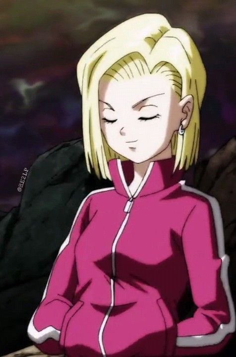 Daily_Android18's tweet photo. https://t.co/5aQkROOZVg