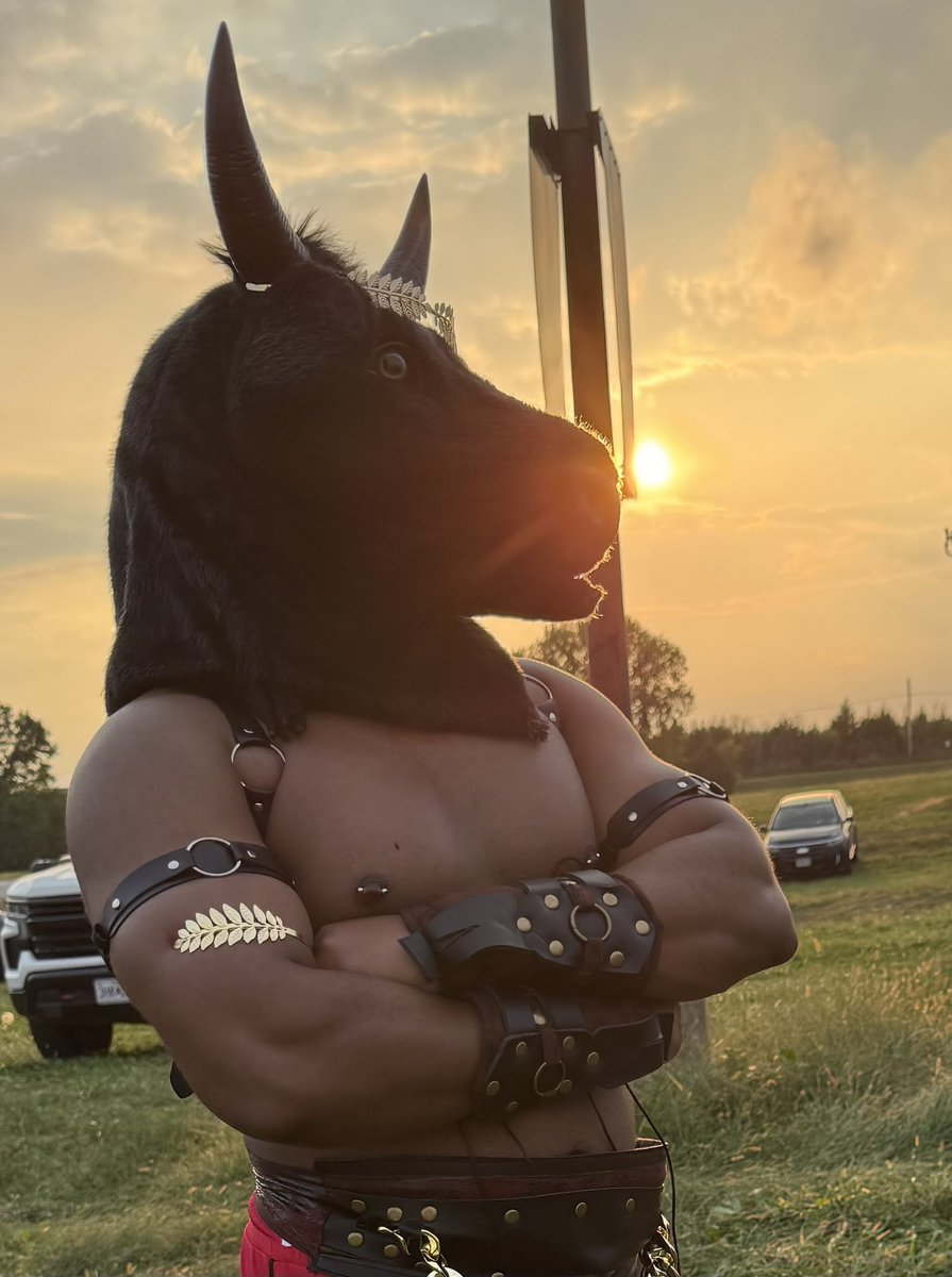 Cemilio_Frank's tweet photo. ✨MOO✨

went to my first renaissance festival last weekend as a minotaur https://t.co/KhiPeTgV3r