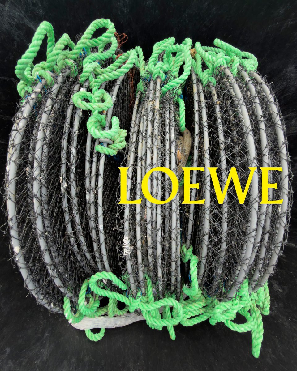 KATSEYEBASE's tweet photo. KATSEYE’s Lara will attend her first ever PARIS FASHION WEEK as a KATSEYE member. She is invited to LOEWE’s Spring/Summer 2027 show in Paris on October 2 at 11:30 AM CET / 5:30 AM ET. https://t.co/IuEb1LUmmY