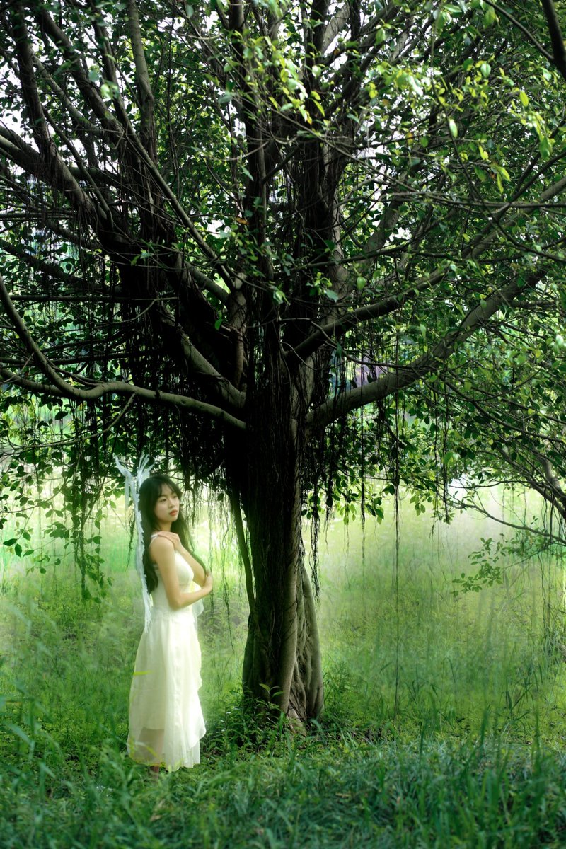 harol_spin__035's tweet photo. Wishing the ancient locust tree under the old archway could grant a gentle blessing for the shy little witch, whose lighthearted smile is so lovely. https://t.co/LxvpaDWOyA
