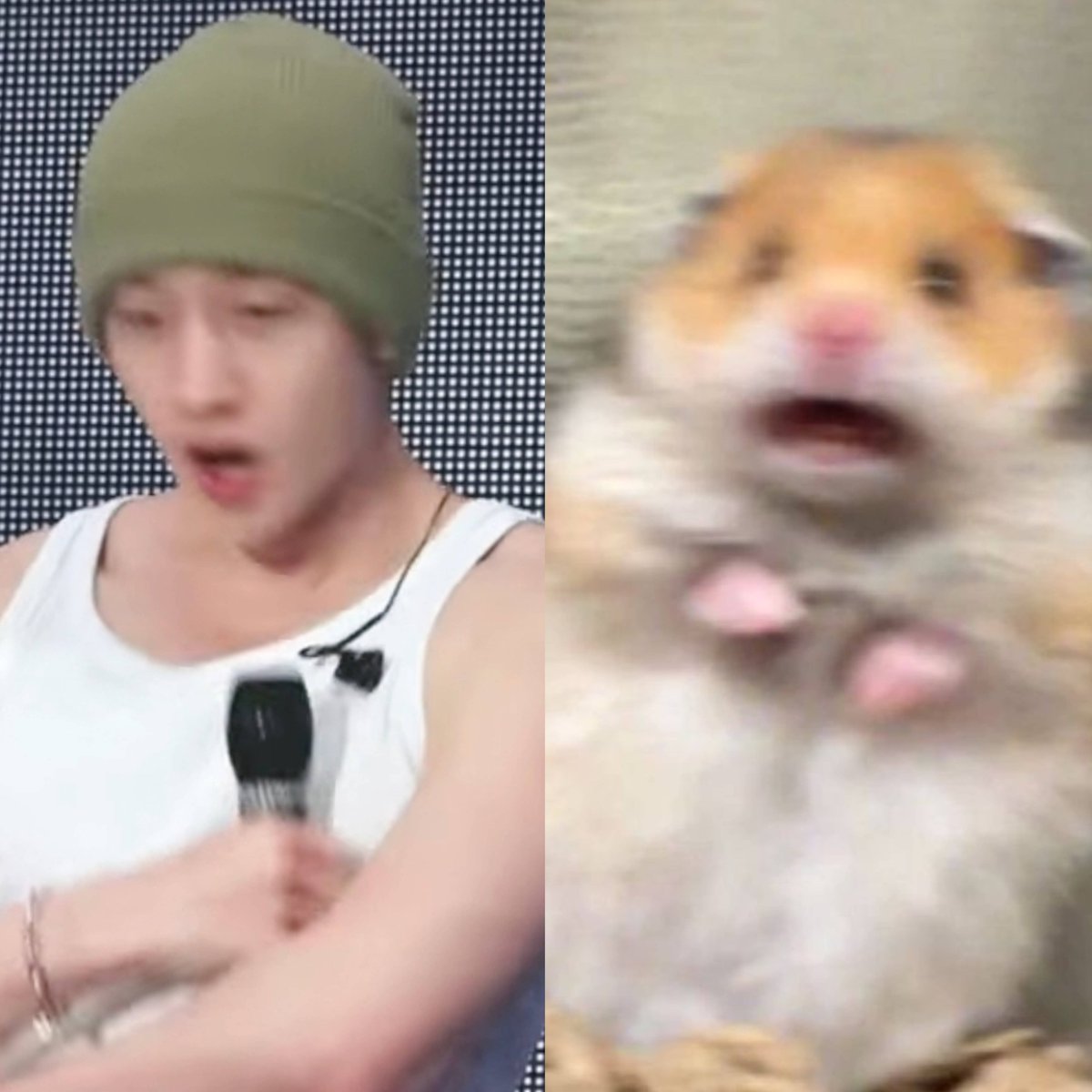 youtiful_chan's tweet photo. 애기 놀란거 너무 귀엽네ㅋㅋ https://t.co/BbQCvU8ABJ