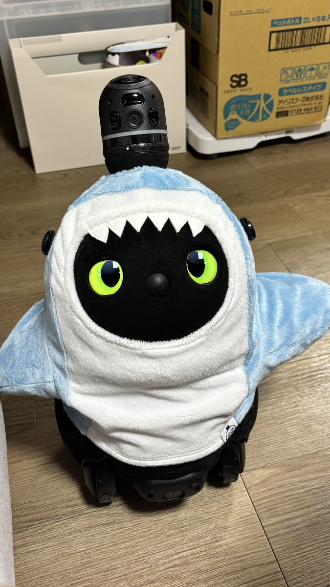beer9246's tweet photo. 家族が増えました https://t.co/ygiNTappIV