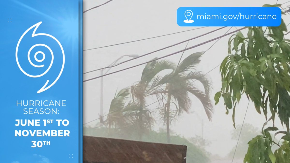 An informational graphic titled 'HURRICANE SEASON: JUNE 1ST TO NOVEMBER 30TH' with the URL 'miami.gov/hurricane', showing palm trees blowing in heavy wind and rain.
